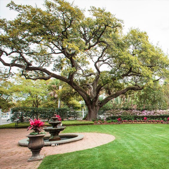 Charleston Landscaping