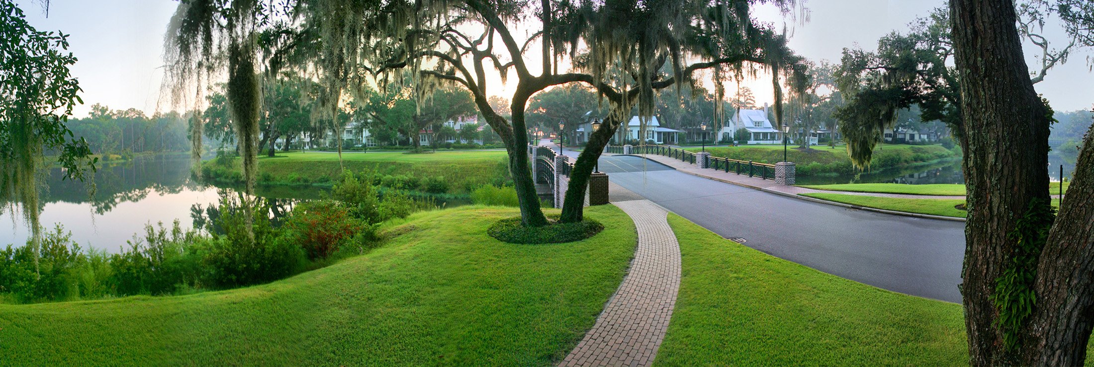 Palmetto Bluff Header