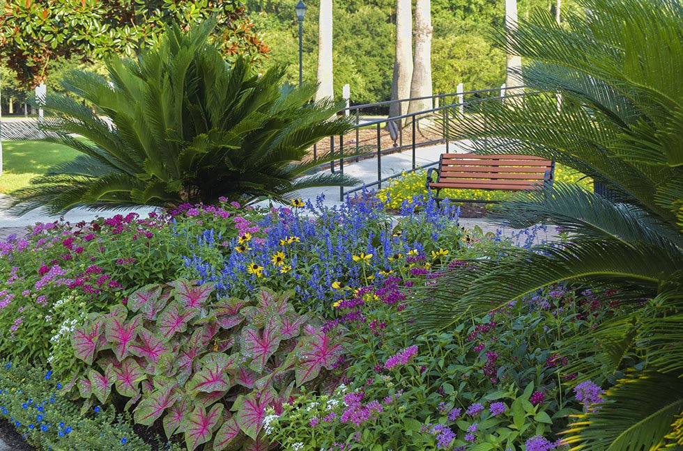 SUN CITY HILTON HEAD