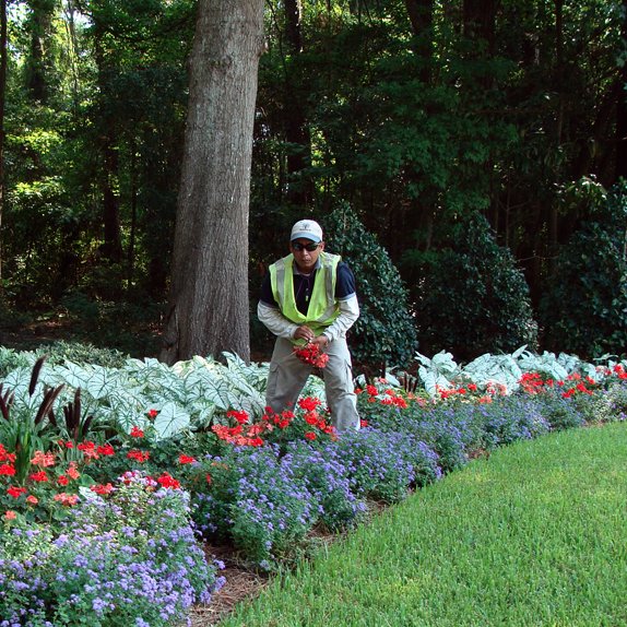 Summerville Landscaping