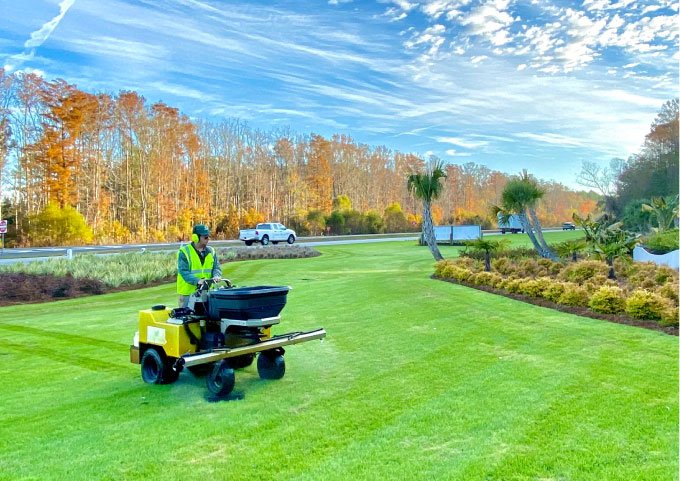 The Greenery Savannah