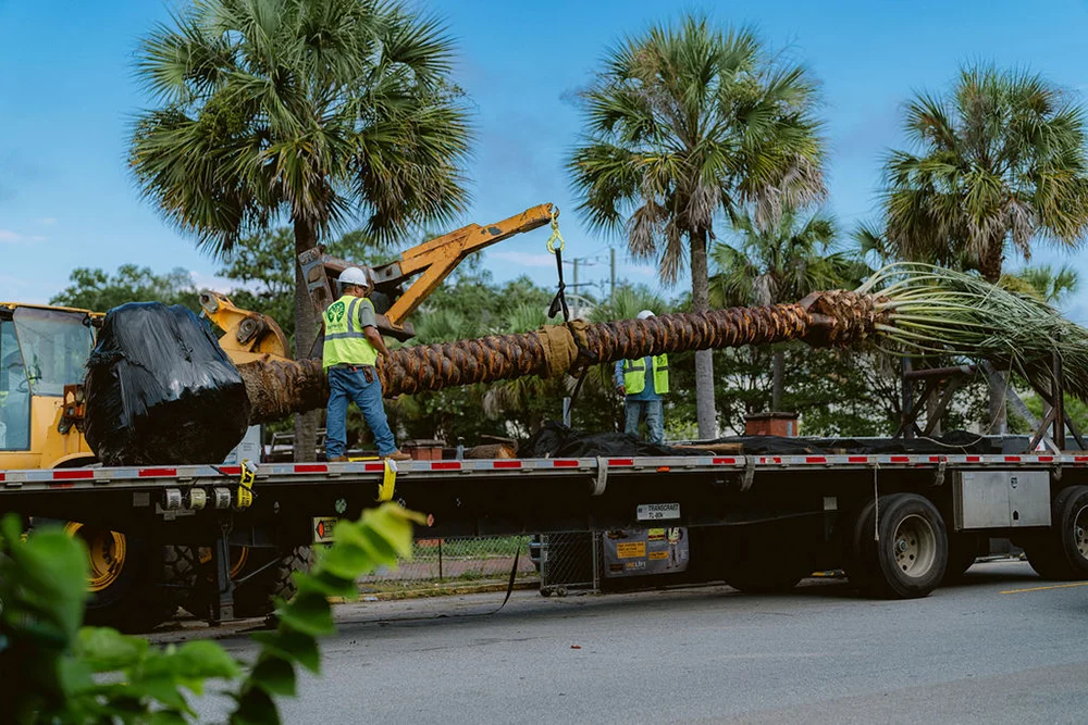 Construction Landscaping
